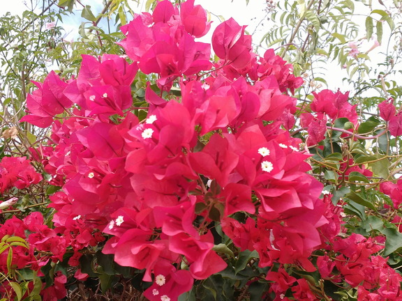 IMG 20171021 144025757