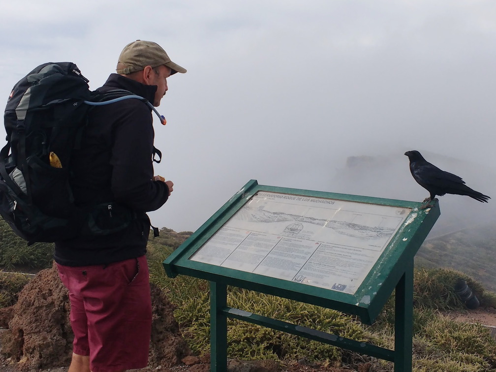 IMG 20171023 113421365