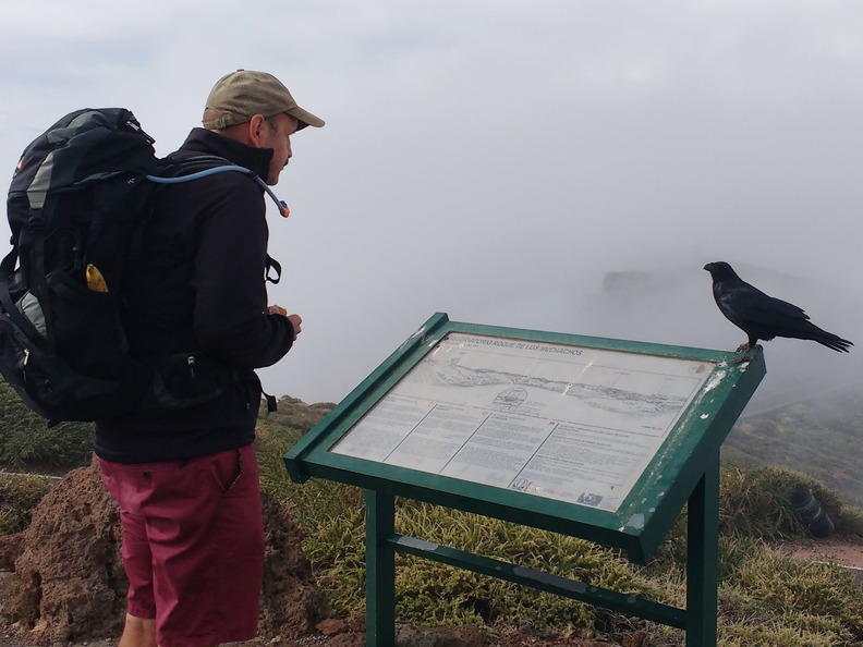 IMG 20171023 113421365