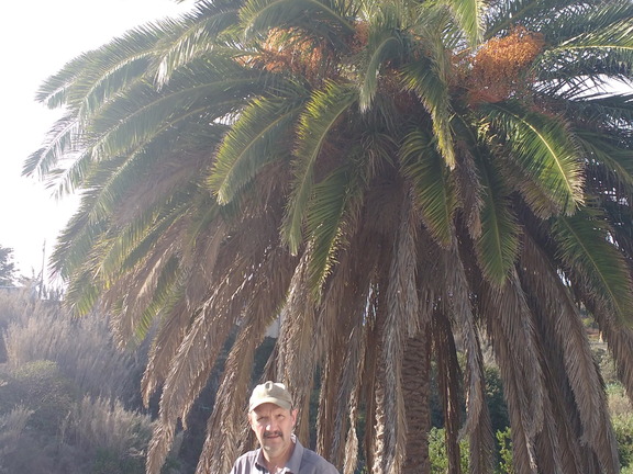 IMG 20171027 104434168