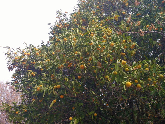 IMG 20171028 113256140