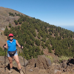 IMG 20171029 134358910