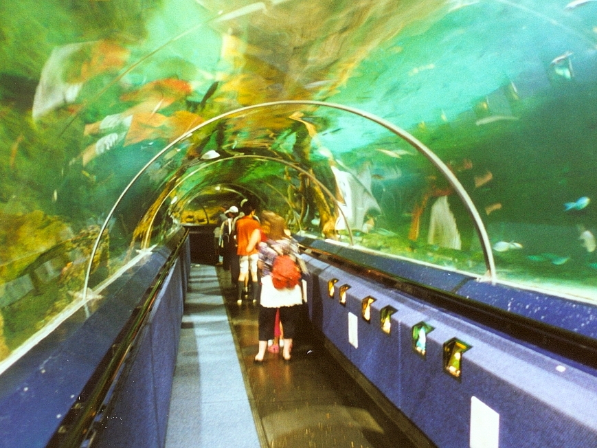 Bild030