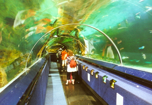 Bild030