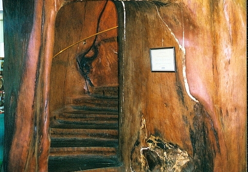 Bild006