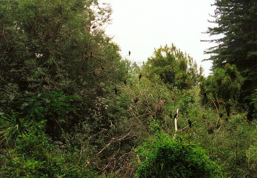 Bild035