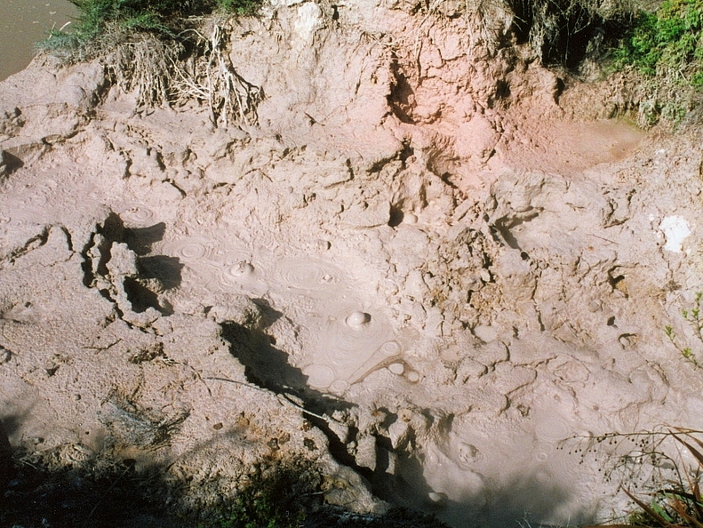 Bild015