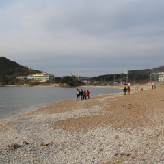 IMG 0056