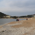 IMG_0056.JPG