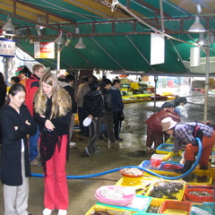IMG 0058