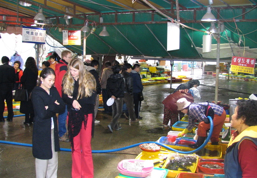 IMG 0058