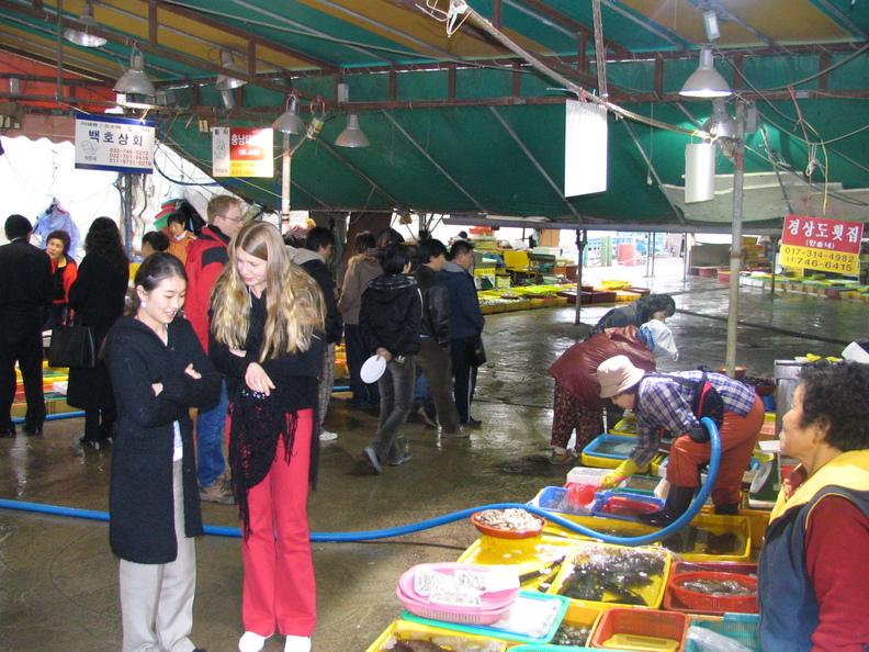 IMG 0058