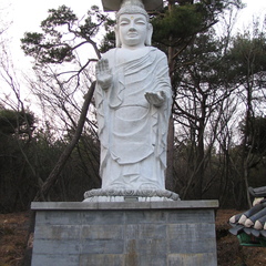 IMG 0061
