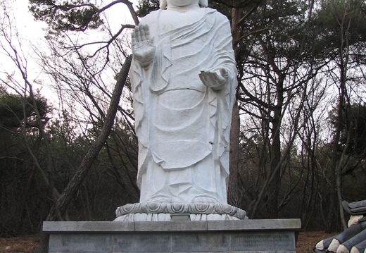 IMG 0061