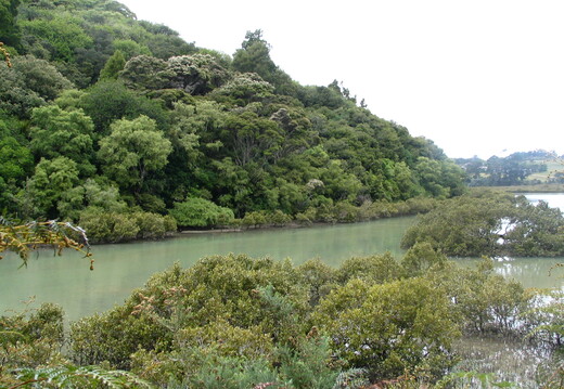IMG 0069