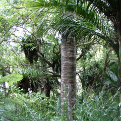 IMG 0073