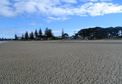 IMG 0078