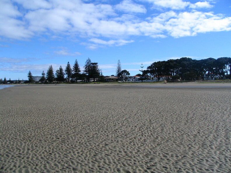 IMG 0078