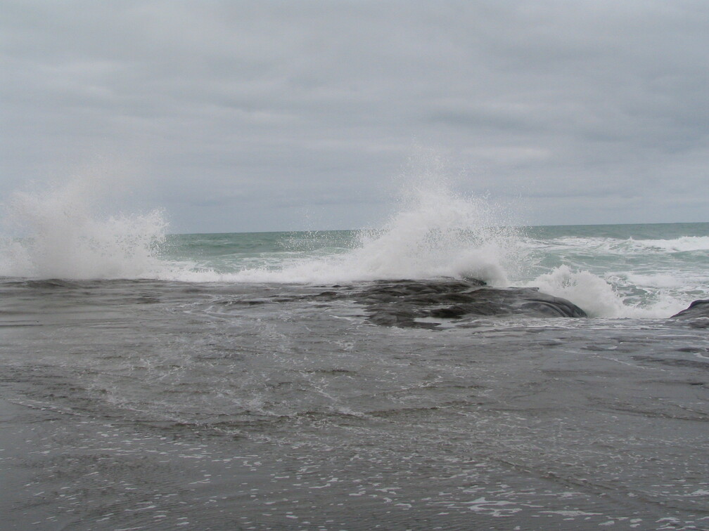 IMG 0083