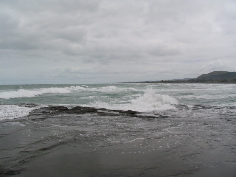 IMG 0085