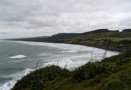 IMG 0086