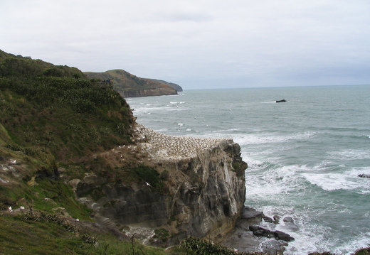 IMG 0088