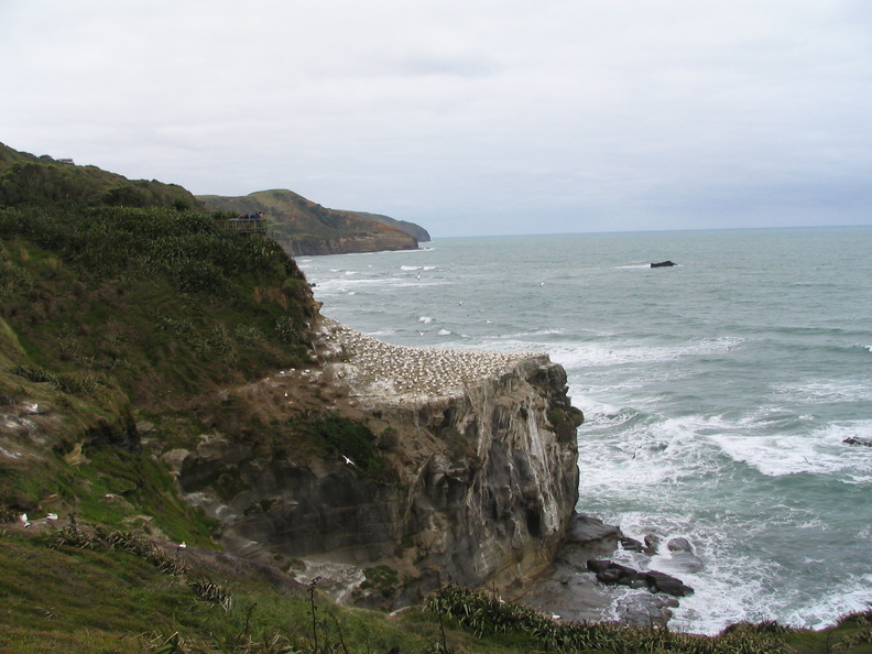 IMG 0088