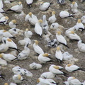 IMG_0089.JPG