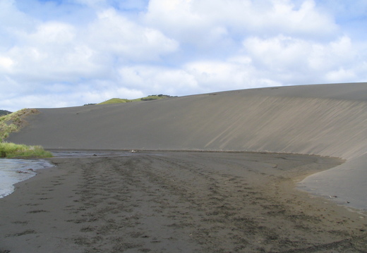 IMG 0095