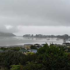 IMG 0105