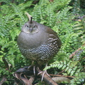 IMG 0119