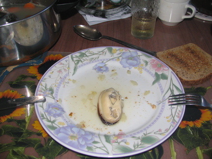 IMG 0127