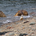 IMG 0129