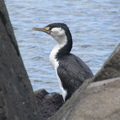 IMG_0138.JPG