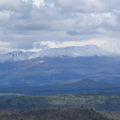 IMG 0154