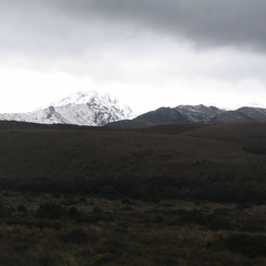 IMG 0156