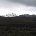 IMG_0156.JPG