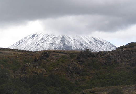 IMG 0157