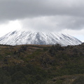IMG_0157.JPG