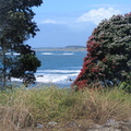 IMG 0168