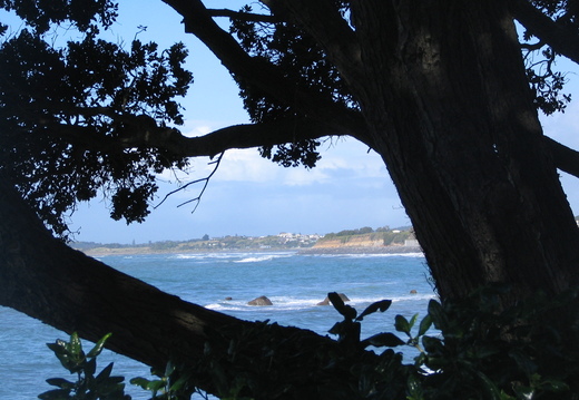 IMG 0169