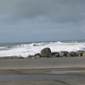 IMG 0170