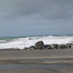 IMG 0170