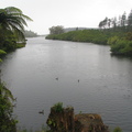 IMG 0175
