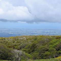 IMG 0178