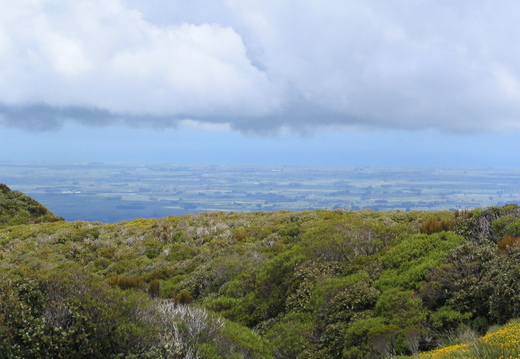 IMG 0178