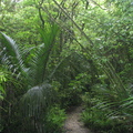 IMG_0188.JPG