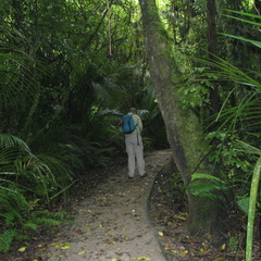 IMG 0189