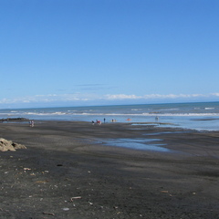IMG 0193