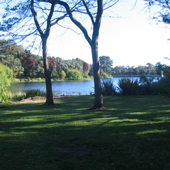 IMG 0202